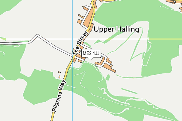 ME2 1JJ map - OS VectorMap District (Ordnance Survey)