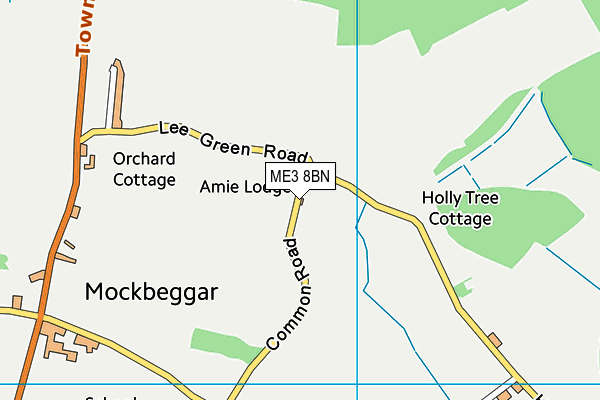 ME3 8BN map - OS VectorMap District (Ordnance Survey) ME3 8BN map - OS VectorMap District (Ordnance Survey)