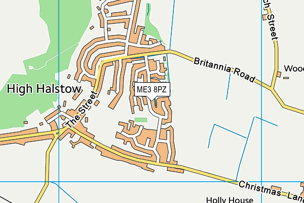 ME3 8PZ map - OS VectorMap District (Ordnance Survey) ME3 8PZ map - OS VectorMap District (Ordnance Survey)