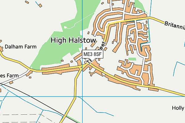 ME3 8SF map - OS VectorMap District (Ordnance Survey)