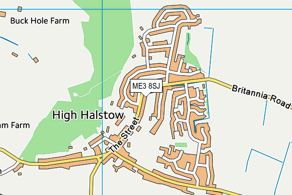 ME3 8SJ map - OS VectorMap District (Ordnance Survey) ME3 8SJ map - OS VectorMap District (Ordnance Survey)