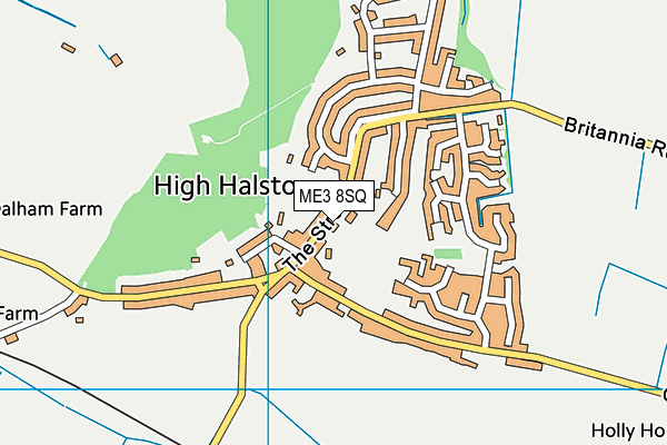 ME3 8SQ map - OS VectorMap District (Ordnance Survey) ME3 8SQ map - OS VectorMap District (Ordnance Survey)