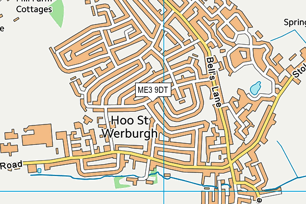 ME3 9DT map - OS VectorMap District (Ordnance Survey) ME3 9DT map - OS VectorMap District (Ordnance Survey)