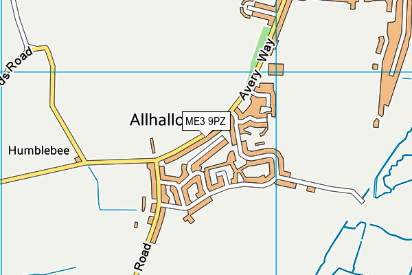 ME3 9PZ map - OS VectorMap District (Ordnance Survey) ME3 9PZ map - OS VectorMap District (Ordnance Survey)