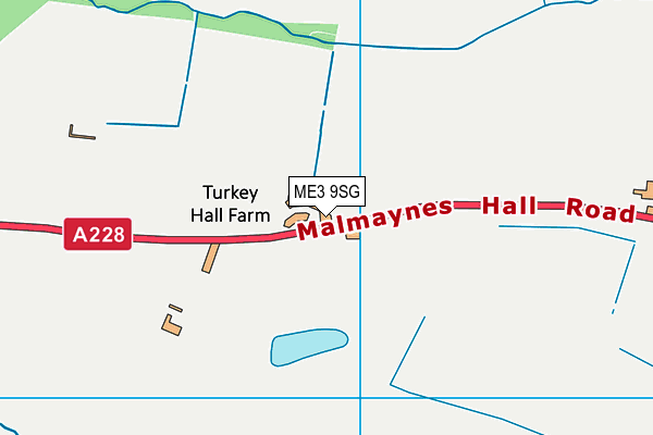 ME3 9SG map - OS VectorMap District (Ordnance Survey) ME3 9SG map - OS VectorMap District (Ordnance Survey)