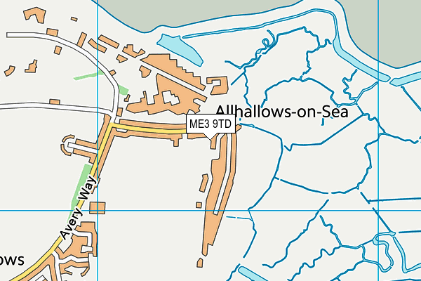 ME3 9TD map - OS VectorMap District (Ordnance Survey) ME3 9TD map - OS VectorMap District (Ordnance Survey)