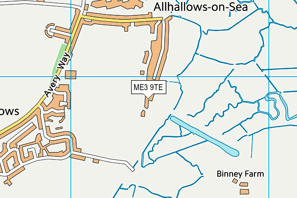 ME3 9TE map - OS VectorMap District (Ordnance Survey) ME3 9TE map - OS VectorMap District (Ordnance Survey)