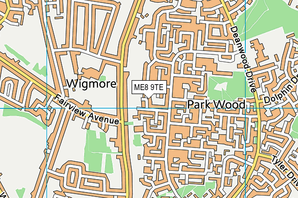 ME8 9TE map - OS VectorMap District (Ordnance Survey) ME8 9TE map - OS VectorMap District (Ordnance Survey)