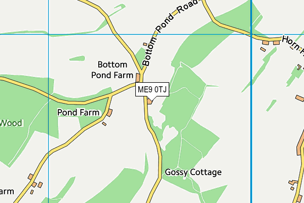 ME9 0TJ map - OS VectorMap District (Ordnance Survey) ME9 0TJ map - OS VectorMap District (Ordnance Survey)