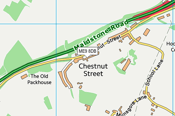 ME9 8DB map - OS VectorMap District (Ordnance Survey) ME9 8DB map - OS VectorMap District (Ordnance Survey)