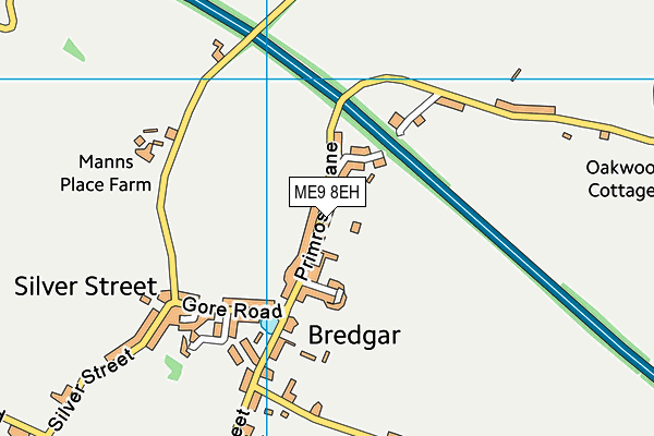 ME9 8EH map - OS VectorMap District (Ordnance Survey) ME9 8EH map - OS VectorMap District (Ordnance Survey)
