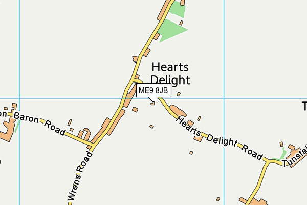 ME9 8JB map - OS VectorMap District (Ordnance Survey) ME9 8JB map - OS VectorMap District (Ordnance Survey)