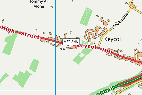 ME9 8NA map - OS VectorMap District (Ordnance Survey) ME9 8NA map - OS VectorMap District (Ordnance Survey)