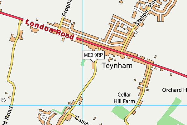 ME9 9RP map - OS VectorMap District (Ordnance Survey) ME9 9RP map - OS VectorMap District (Ordnance Survey)
