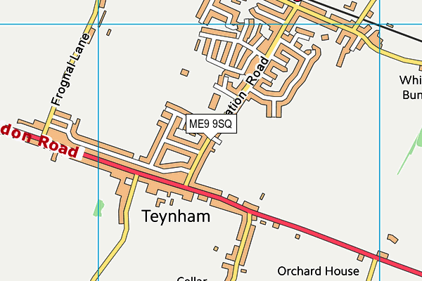 ME9 9SQ map - OS VectorMap District (Ordnance Survey) ME9 9SQ map - OS VectorMap District (Ordnance Survey)