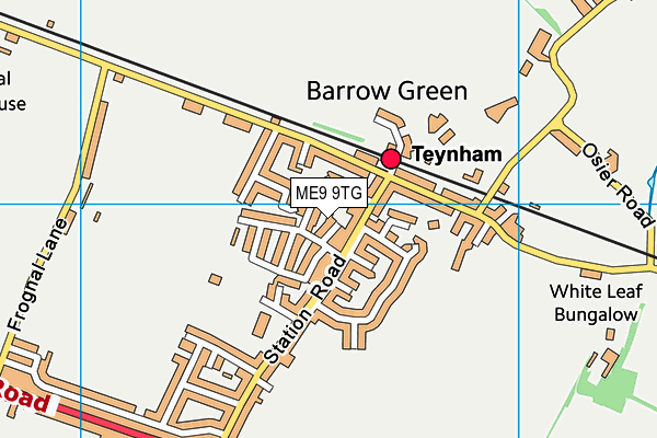 ME9 9TG map - OS VectorMap District (Ordnance Survey) ME9 9TG map - OS VectorMap District (Ordnance Survey)
