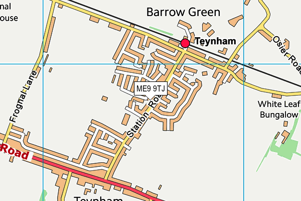 ME9 9TJ map - OS VectorMap District (Ordnance Survey) ME9 9TJ map - OS VectorMap District (Ordnance Survey)