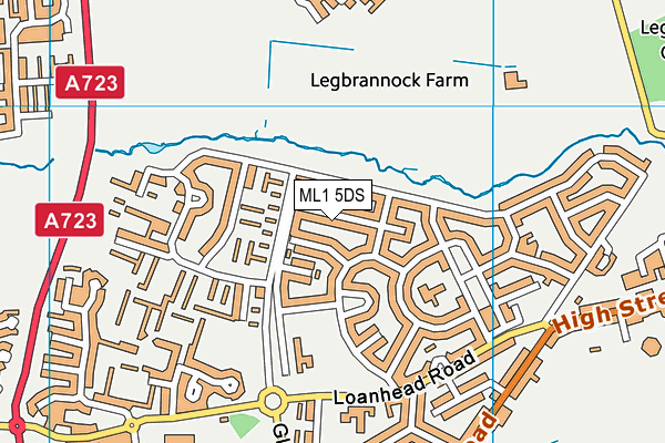ML1 5DS map - OS VectorMap District (Ordnance Survey) ML1 5DS map - OS VectorMap District (Ordnance Survey)