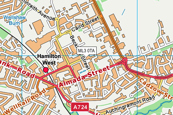 ML3 0TA map - OS VectorMap District (Ordnance Survey)