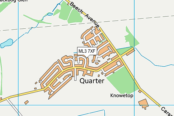 ML3 7XF map - OS VectorMap District (Ordnance Survey) ML3 7XF map - OS VectorMap District (Ordnance Survey)