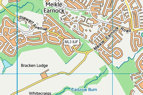 ML3 8JF map - OS VectorMap District (Ordnance Survey) ML3 8JF map - OS VectorMap District (Ordnance Survey)