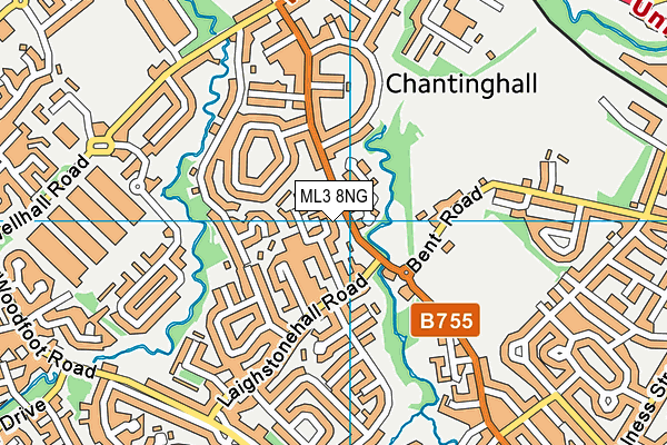 ML3 8NG map - OS VectorMap District (Ordnance Survey) ML3 8NG map - OS VectorMap District (Ordnance Survey)