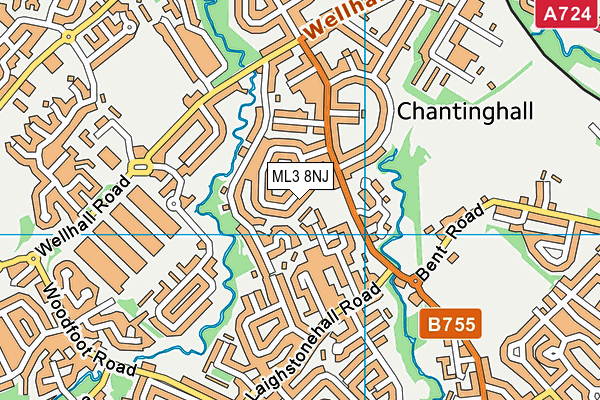 ML3 8NJ map - OS VectorMap District (Ordnance Survey) ML3 8NJ map - OS VectorMap District (Ordnance Survey)