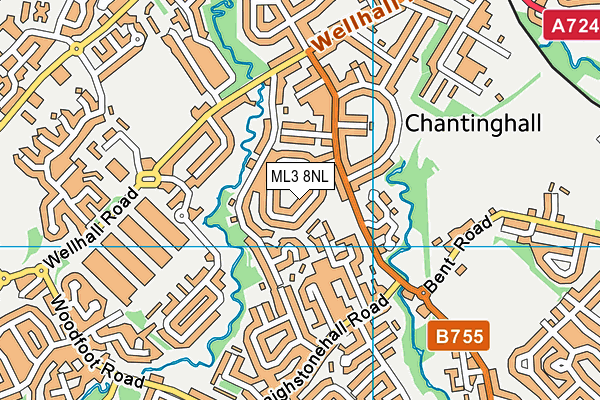 ML3 8NL map - OS VectorMap District (Ordnance Survey) ML3 8NL map - OS VectorMap District (Ordnance Survey)