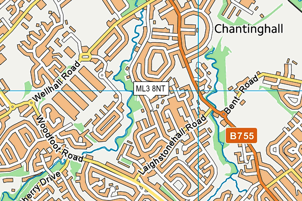 ML3 8NT map - OS VectorMap District (Ordnance Survey) ML3 8NT map - OS VectorMap District (Ordnance Survey)