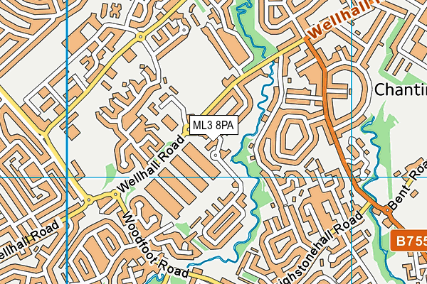 ML3 8PA map - OS VectorMap District (Ordnance Survey) ML3 8PA map - OS VectorMap District (Ordnance Survey)