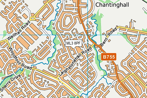 ML3 8PF map - OS VectorMap District (Ordnance Survey) ML3 8PF map - OS VectorMap District (Ordnance Survey)