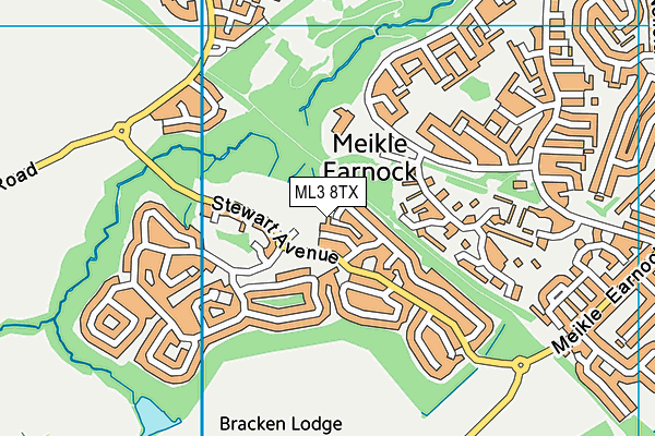ML3 8TX map - OS VectorMap District (Ordnance Survey) ML3 8TX map - OS VectorMap District (Ordnance Survey)