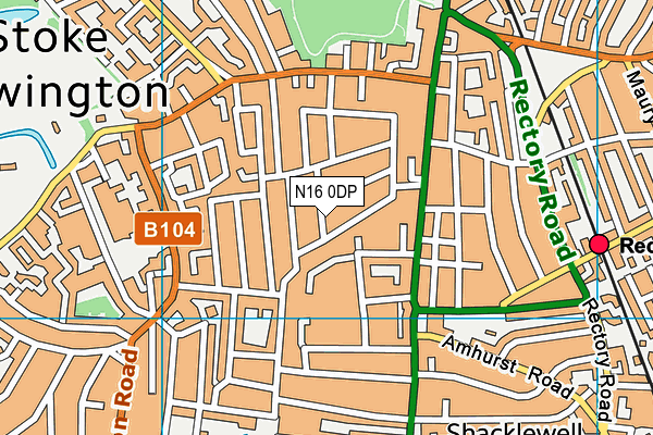 N16 0DP map - OS VectorMap District (Ordnance Survey)