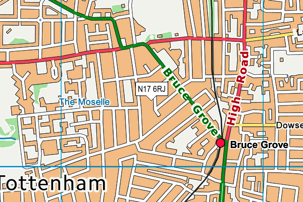 N17 6RJ map - OS VectorMap District (Ordnance Survey)