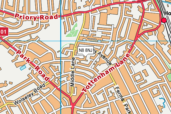 N8 8NJ map - OS VectorMap District (Ordnance Survey) N8 8NJ map - OS VectorMap District (Ordnance Survey)