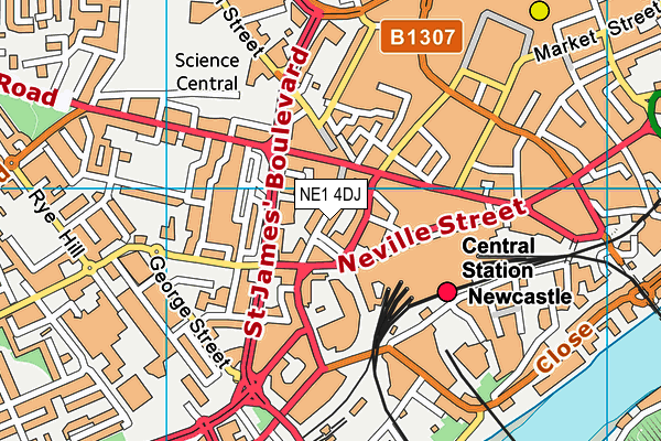 NE1 4DJ map - OS VectorMap District (Ordnance Survey)