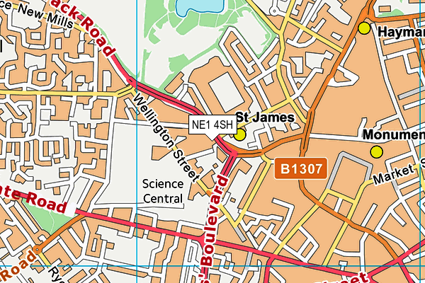 NE1 4SH map - OS VectorMap District (Ordnance Survey) NE1 4SH map - OS VectorMap District (Ordnance Survey)