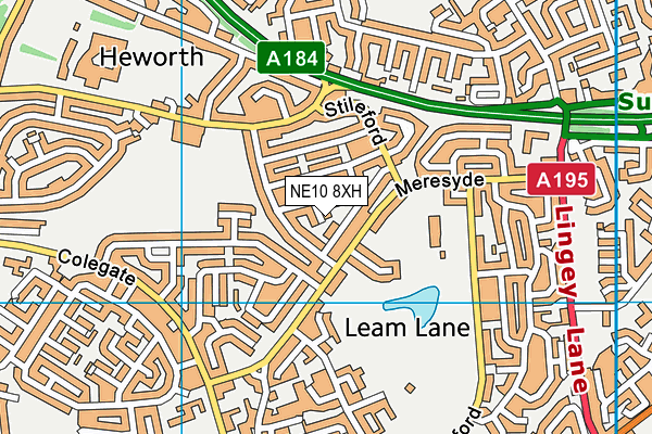 NE10 8XH map - OS VectorMap District (Ordnance Survey) NE10 8XH map - OS VectorMap District (Ordnance Survey)
