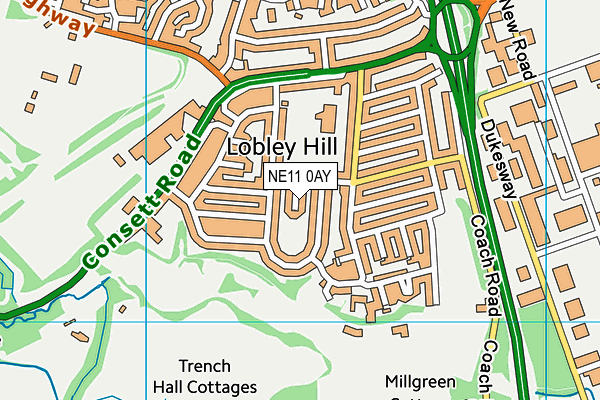 NE11 0AY map - OS VectorMap District (Ordnance Survey) NE11 0AY map - OS VectorMap District (Ordnance Survey)