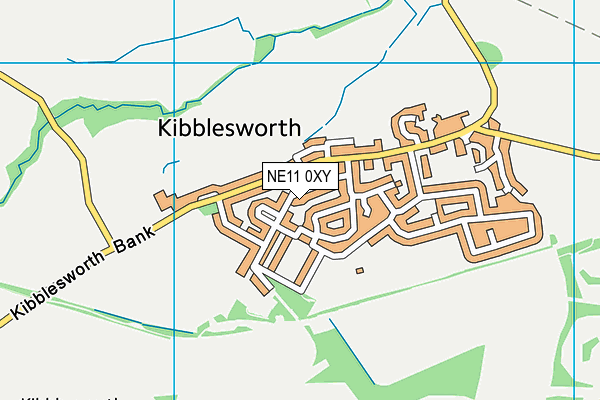NE11 0XY map - OS VectorMap District (Ordnance Survey) NE11 0XY map - OS VectorMap District (Ordnance Survey)