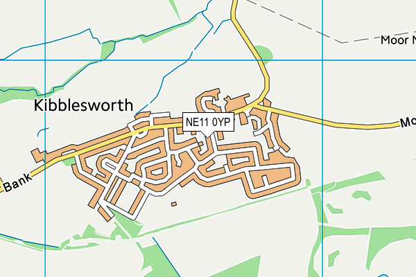 NE11 0YP map - OS VectorMap District (Ordnance Survey)