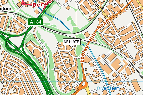 NE11 9TF map - OS VectorMap District (Ordnance Survey) NE11 9TF map - OS VectorMap District (Ordnance Survey)