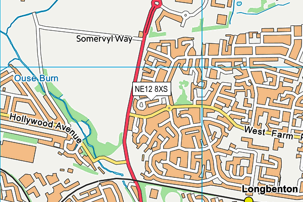 NE12 8XS map - OS VectorMap District (Ordnance Survey) NE12 8XS map - OS VectorMap District (Ordnance Survey)