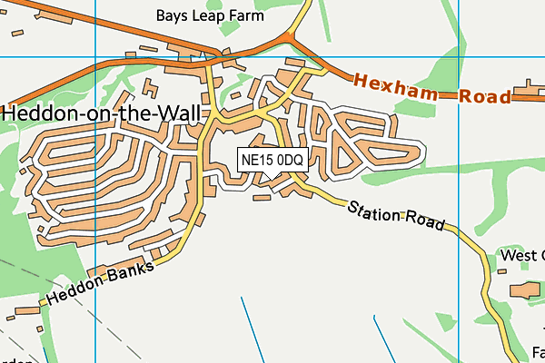 NE15 0DQ map - OS VectorMap District (Ordnance Survey)