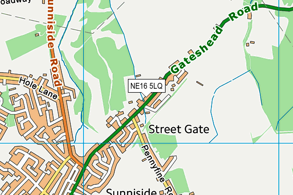 NE16 5LQ map - OS VectorMap District (Ordnance Survey) NE16 5LQ map - OS VectorMap District (Ordnance Survey)
