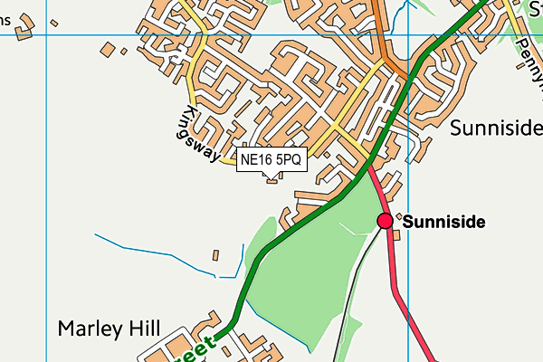 NE16 5PQ map - OS VectorMap District (Ordnance Survey) NE16 5PQ map - OS VectorMap District (Ordnance Survey)