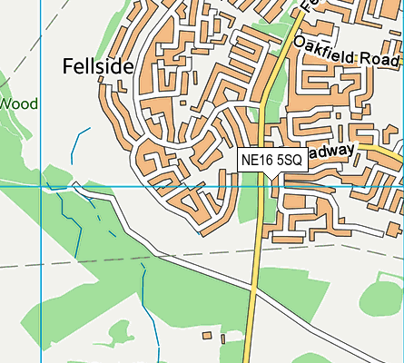 NE16 5SQ map - OS VectorMap District (Ordnance Survey) NE16 5SQ map - OS VectorMap District (Ordnance Survey)