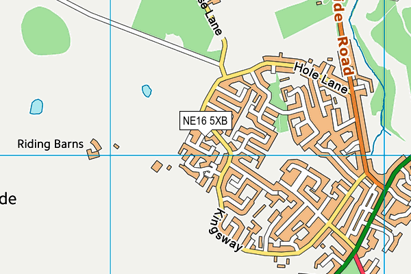 NE16 5XB map - OS VectorMap District (Ordnance Survey) NE16 5XB map - OS VectorMap District (Ordnance Survey)