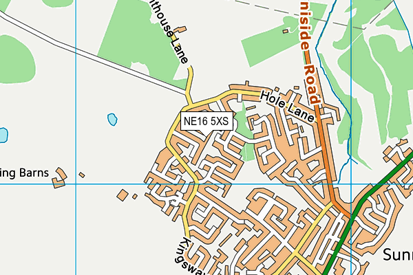 NE16 5XS map - OS VectorMap District (Ordnance Survey) NE16 5XS map - OS VectorMap District (Ordnance Survey)