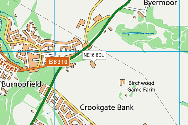 NE16 6DL map - OS VectorMap District (Ordnance Survey) NE16 6DL map - OS VectorMap District (Ordnance Survey)
